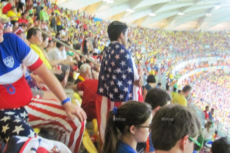 Fan at World Cup game 2014