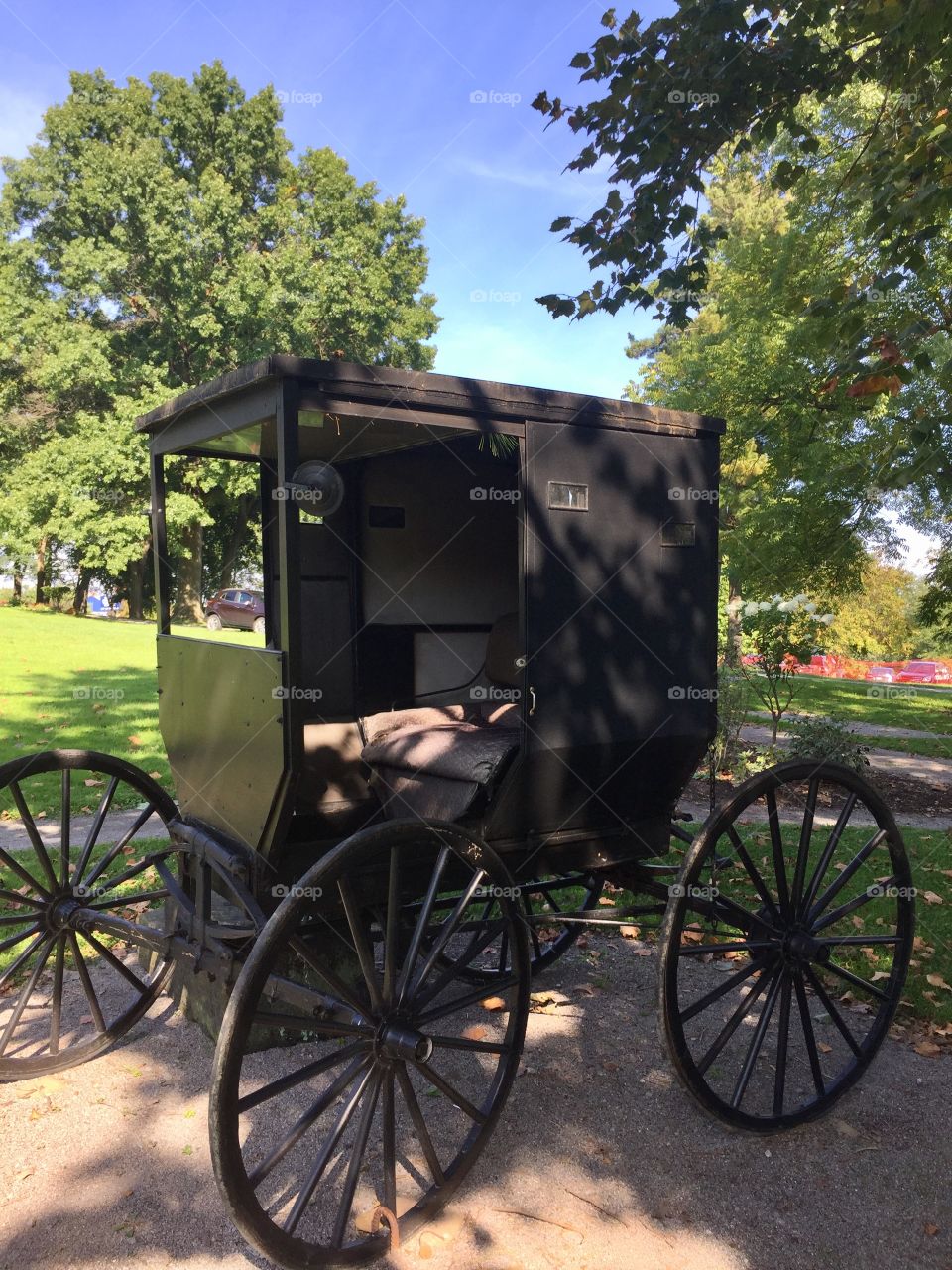 Amish buggy, Boardman twp park Ohio 