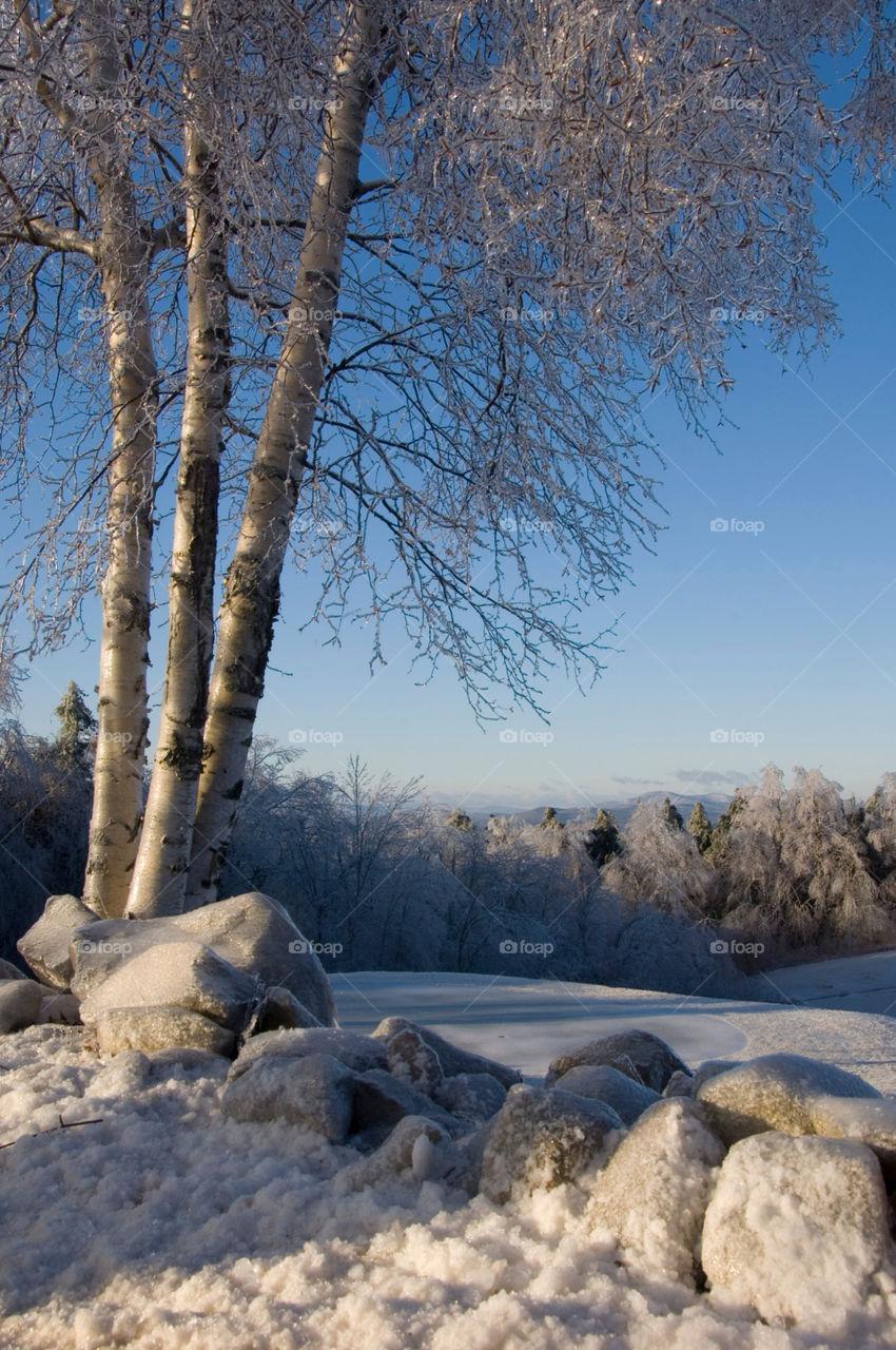 And ice encased landscape looking out over the mountains on the clear