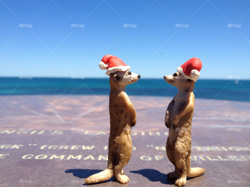 christmas indian ocean meerkats christmas hats by theshmoo