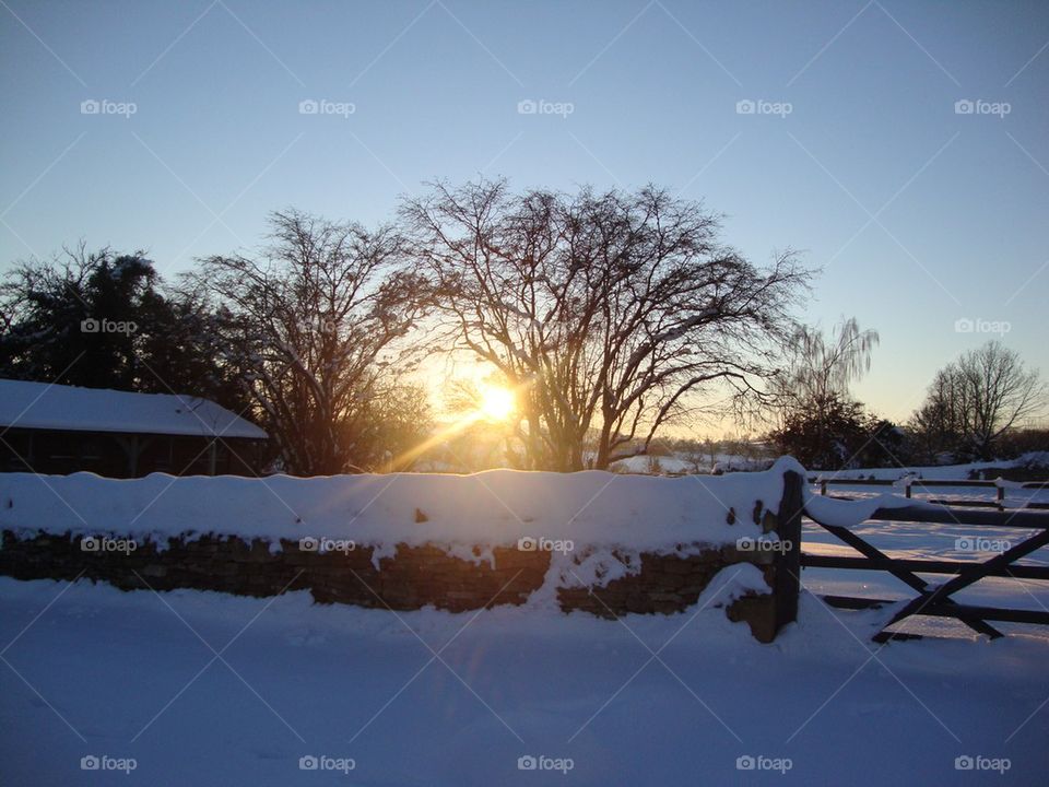 Farm Wonderland