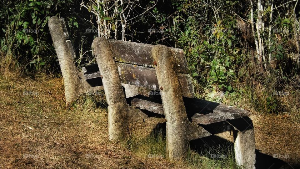 Mossy garden bench in autumn day