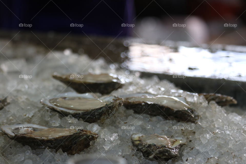 Fresh Oysters on ice