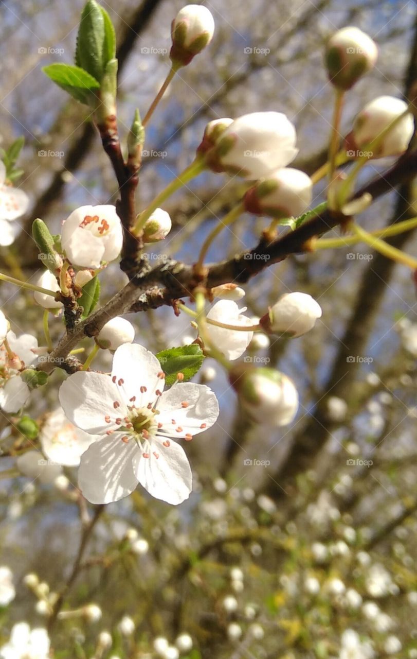 First signs of spring in your Neighbourhoods