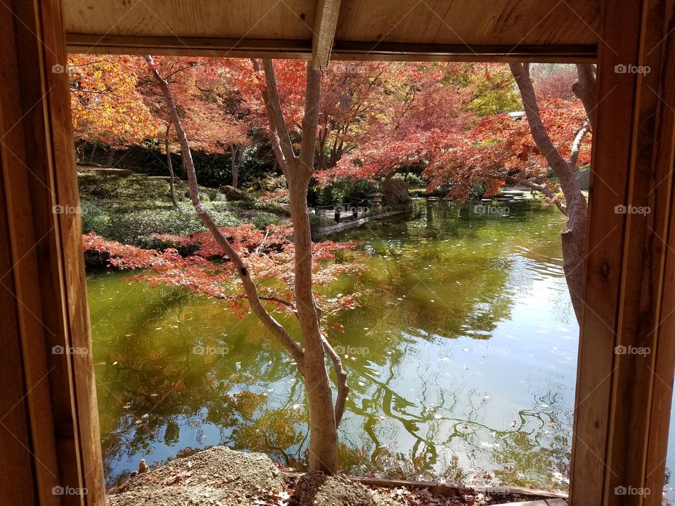 Japanese Gardens at Fort Worth botanical