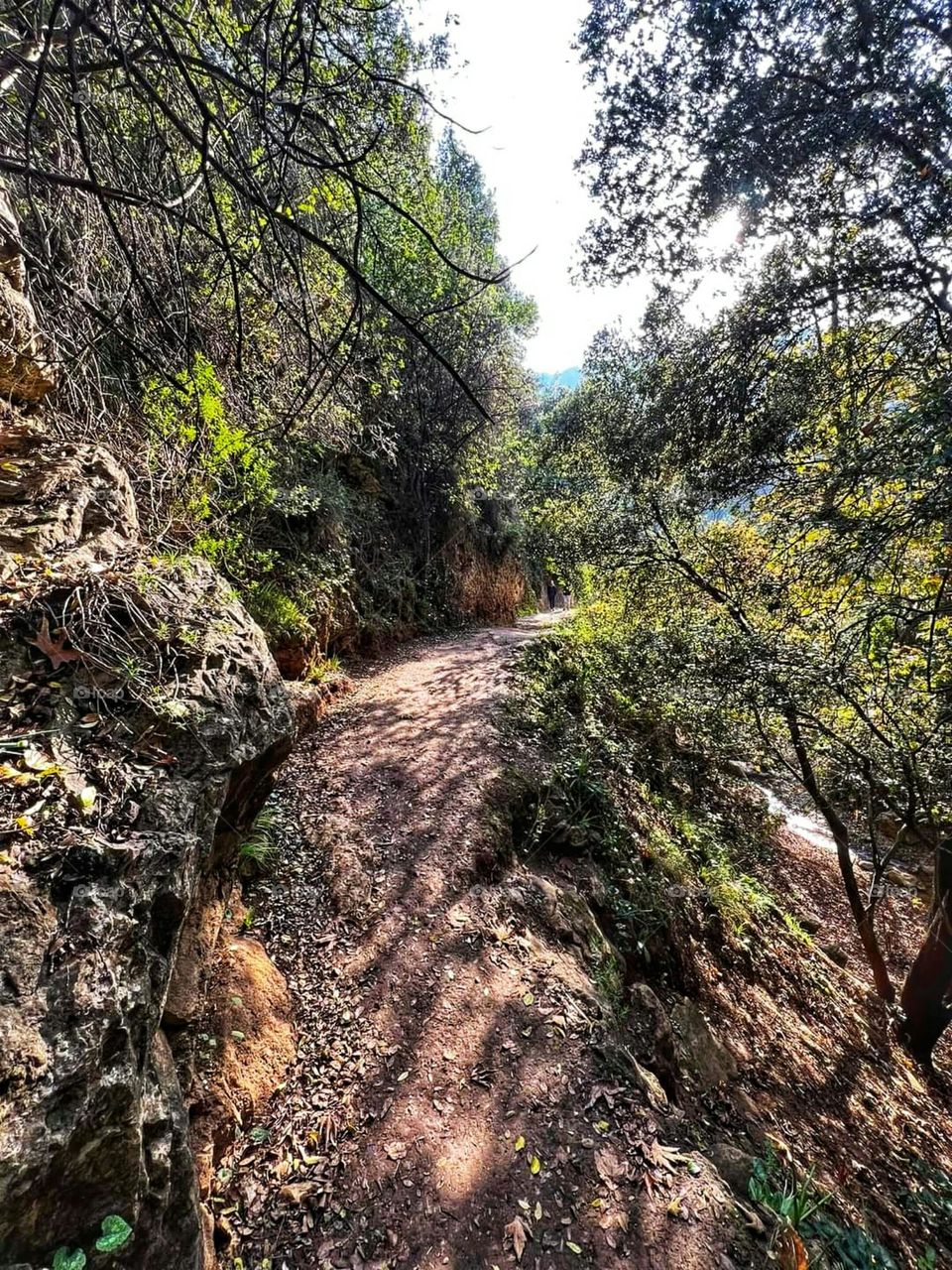 The beauty of nature, the city of Safed, northern Palestine