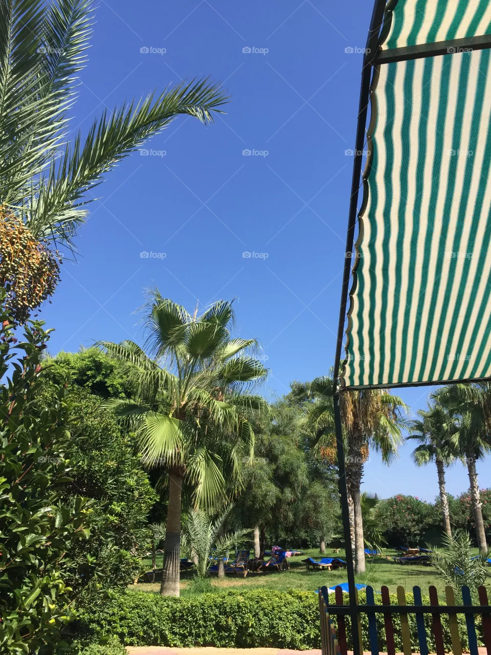 Summer sky 