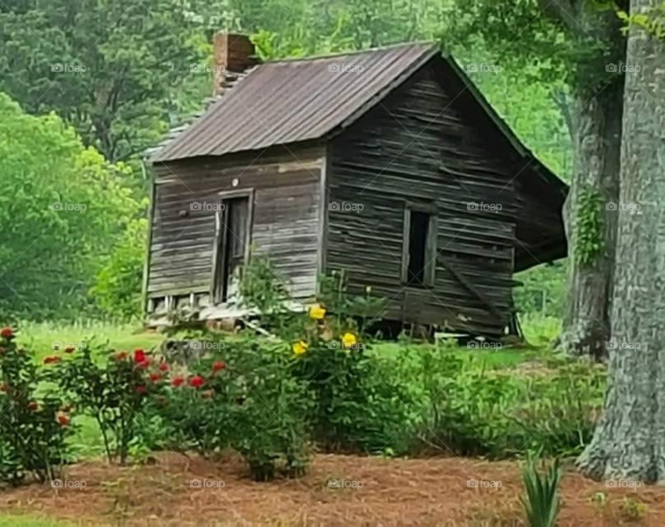 Old Homeplace