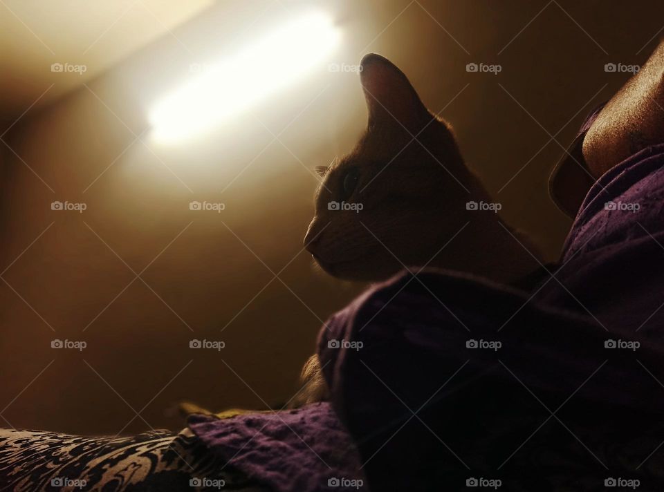 I know you are out with a big surprise for me