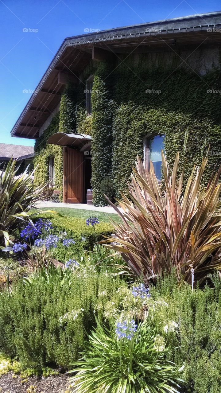 Structures of Napa Valley