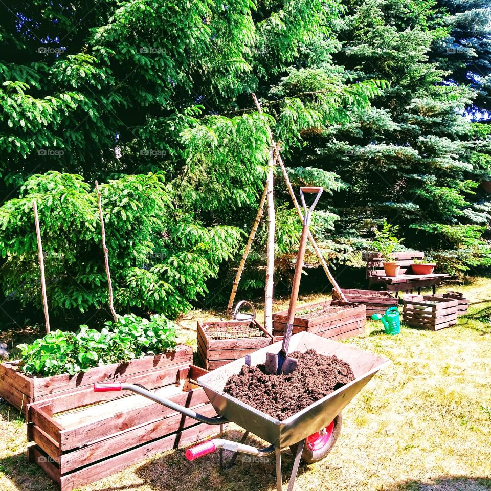 Handmade wooden boxes for vegetables.