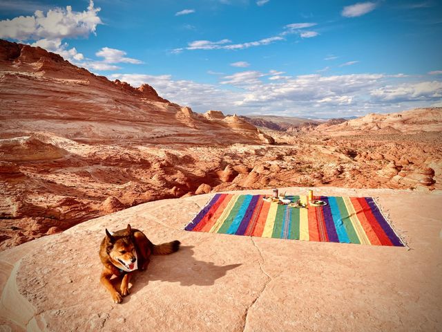 A picnic at the Wave in Arizona is an idyllic and unique experience, which requires a permit to enjoy 