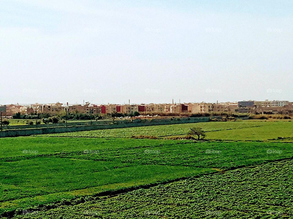 Agricultural land