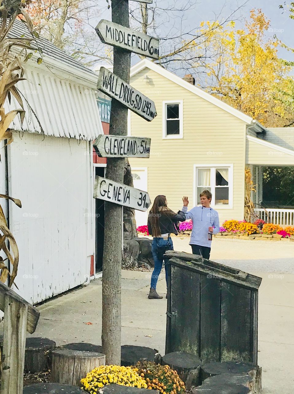 Sibling greeting 