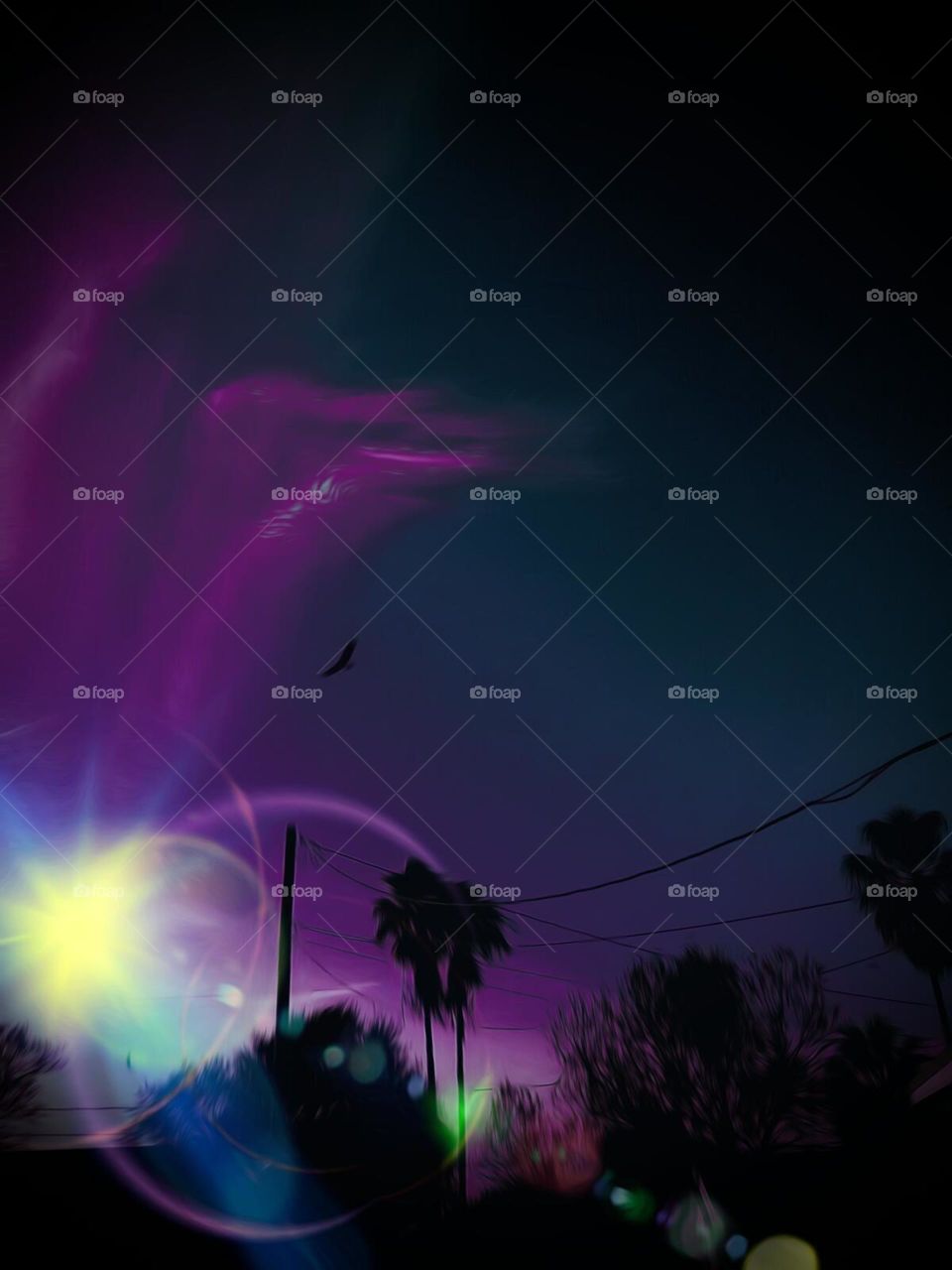 South Texas Setting Sun