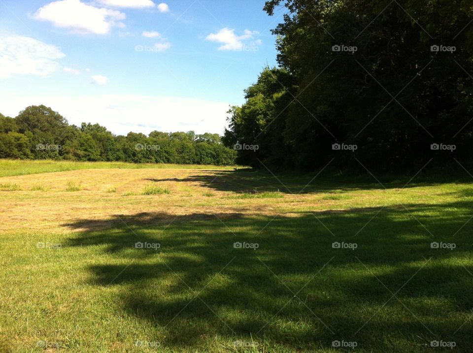 Field shadows