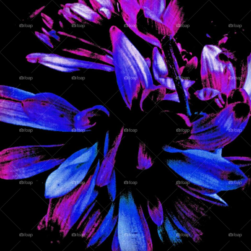 passionate. lighting effects