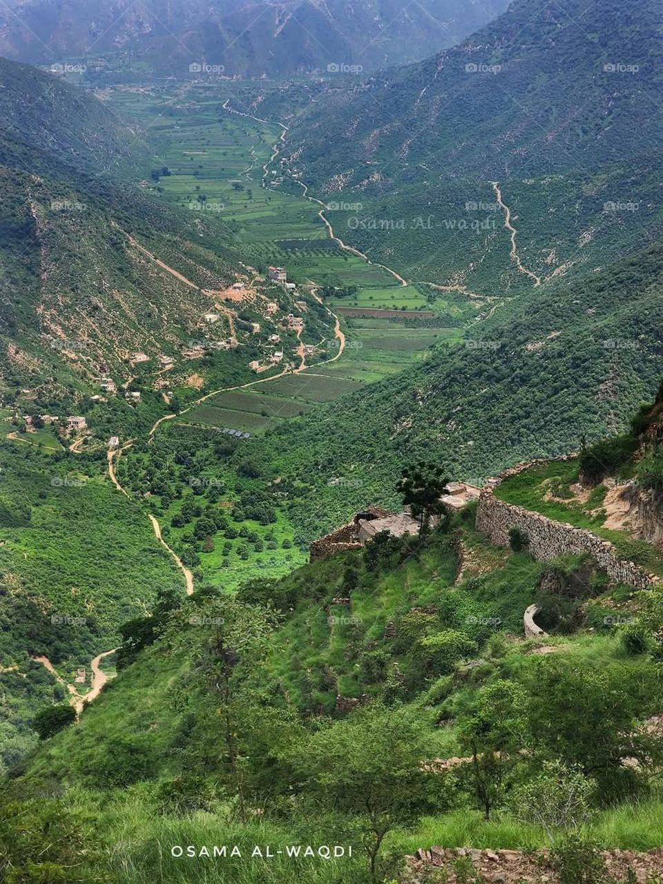 A very beautiful picture, and there is no better picture than it. There is no better picture of green herbs and colorful, red and white roses than it. Glory be to God, the natural and picturesque view, and there is no more