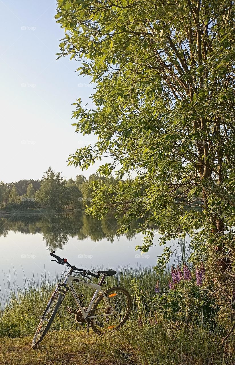 bike 🚲 on a rural road beautiful nature landscape lake shore