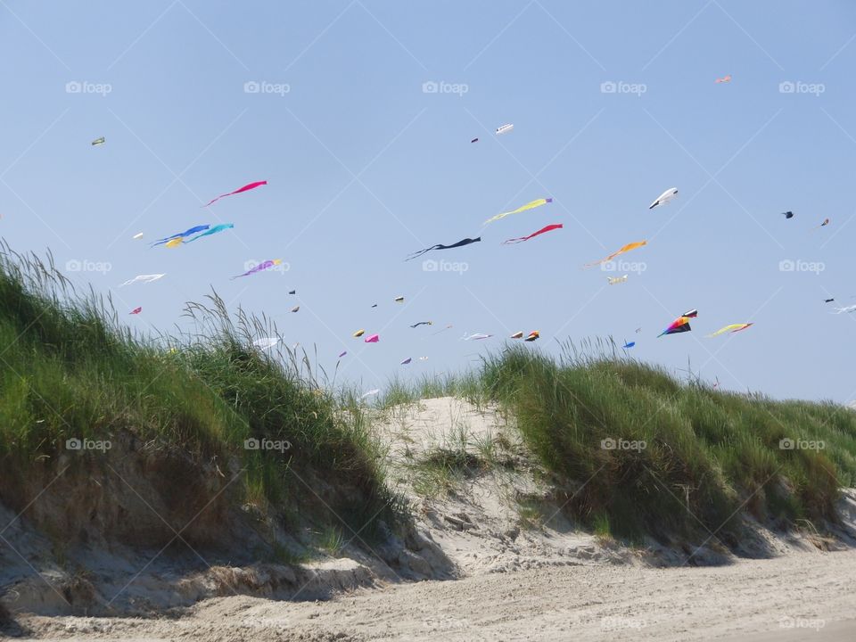 Kites over dune