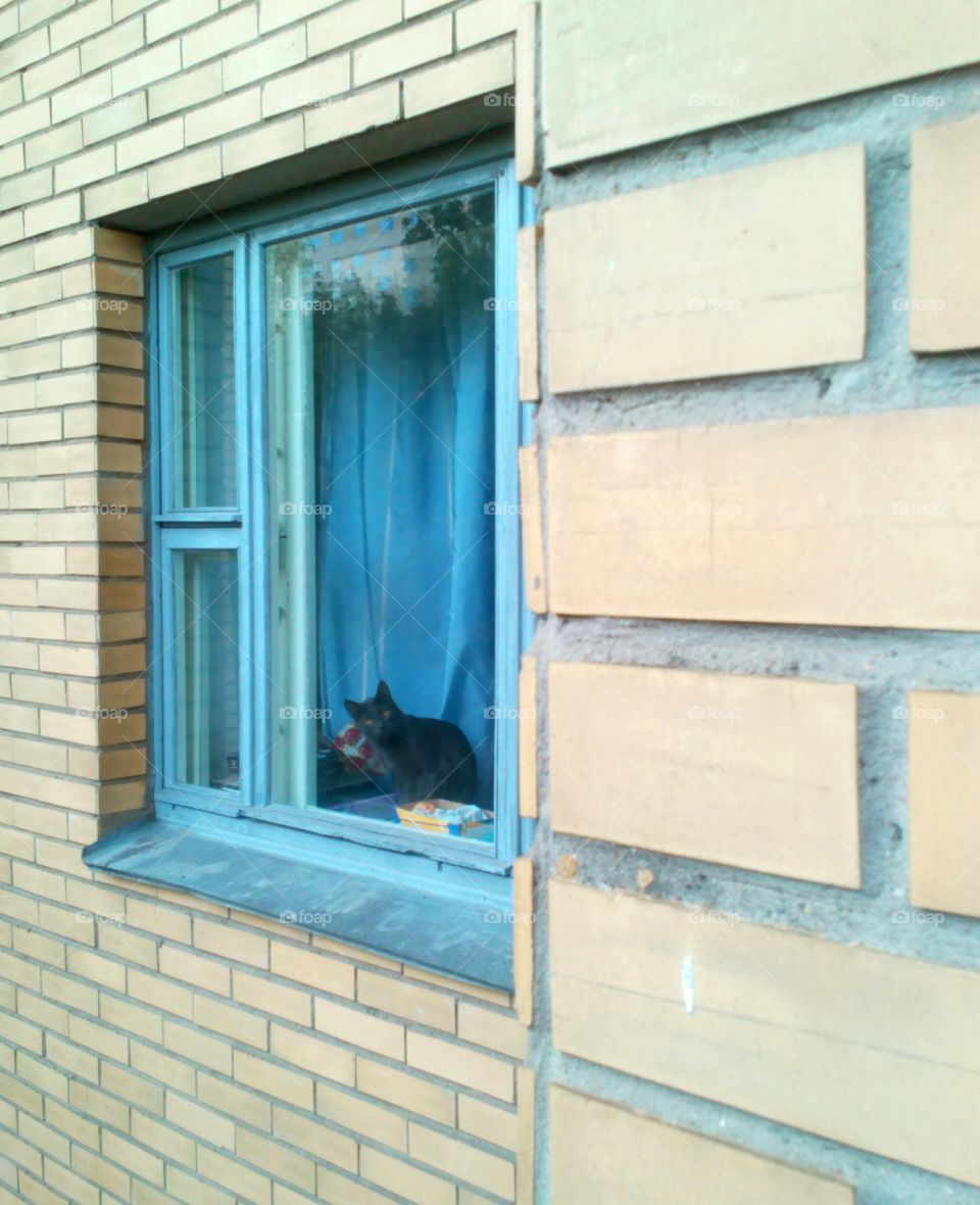 Window, House, Door, Architecture, Wall