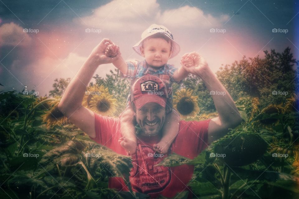 Father and son walking through a sunflower field 
