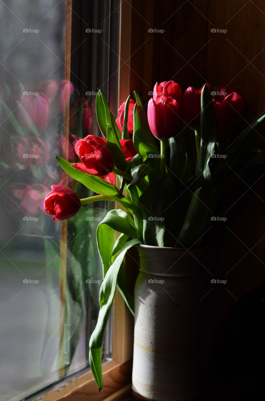 A beautiful bouquet of tulips on a sunny window sill. A perfect Mother’s Day gift. 