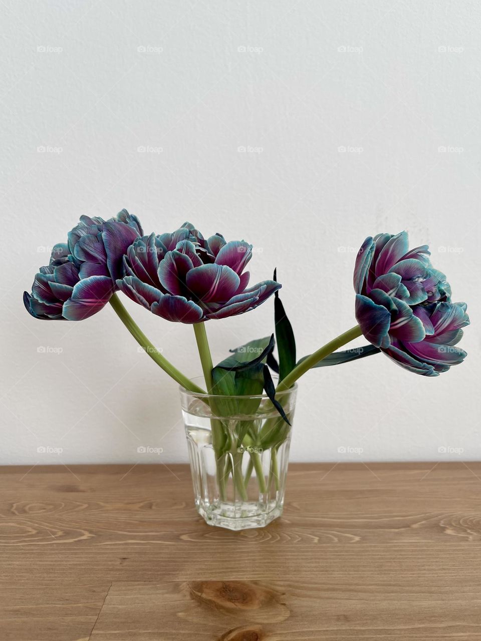 Blue and purple tulips in the glass vase