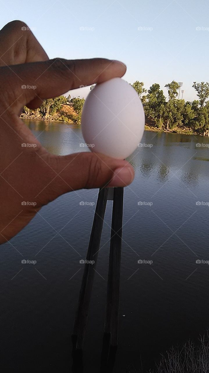 River egg. Out riding a bike along the river walk