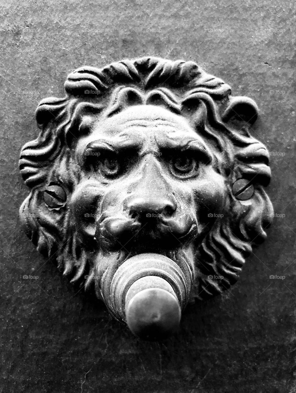 Lion Doorbell in Florence