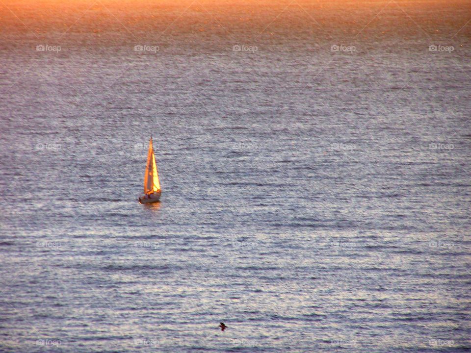 Lone Sailboat. A lone sailboat off the coast of Viña del Mar, Chile