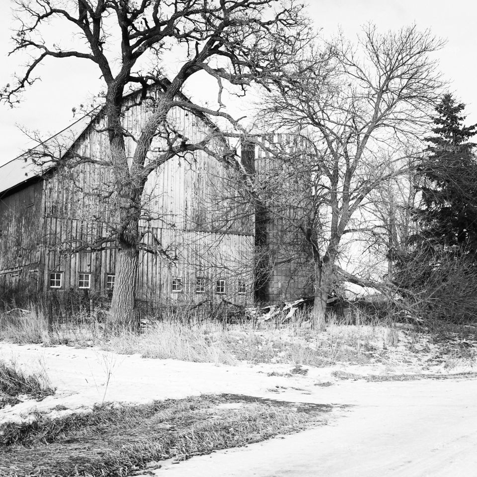 This is a picture of a very old barn but so beautiful . Picture taken in Austin mn 