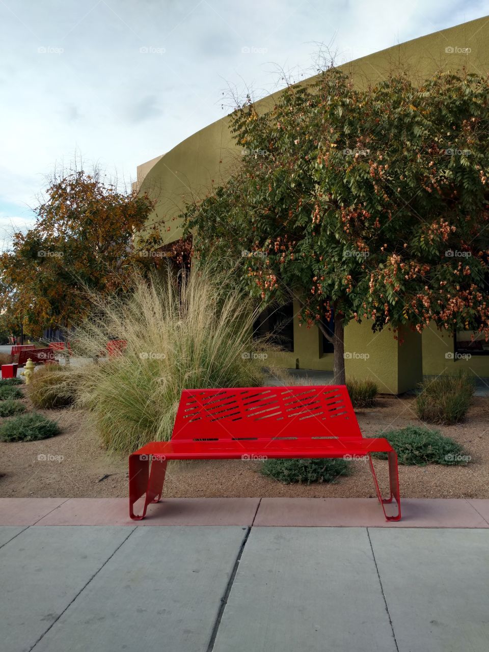 University of New Mexico student bench