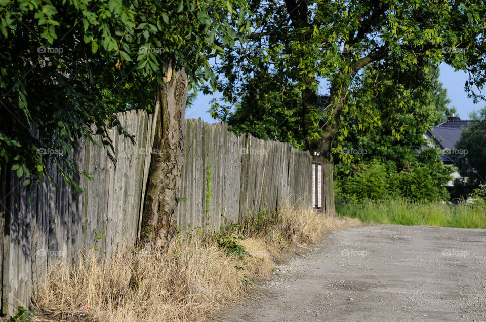 Rural fence