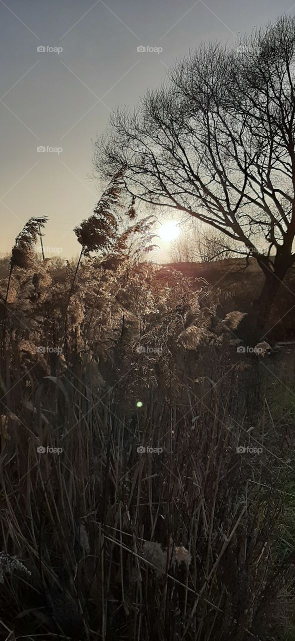 sunset