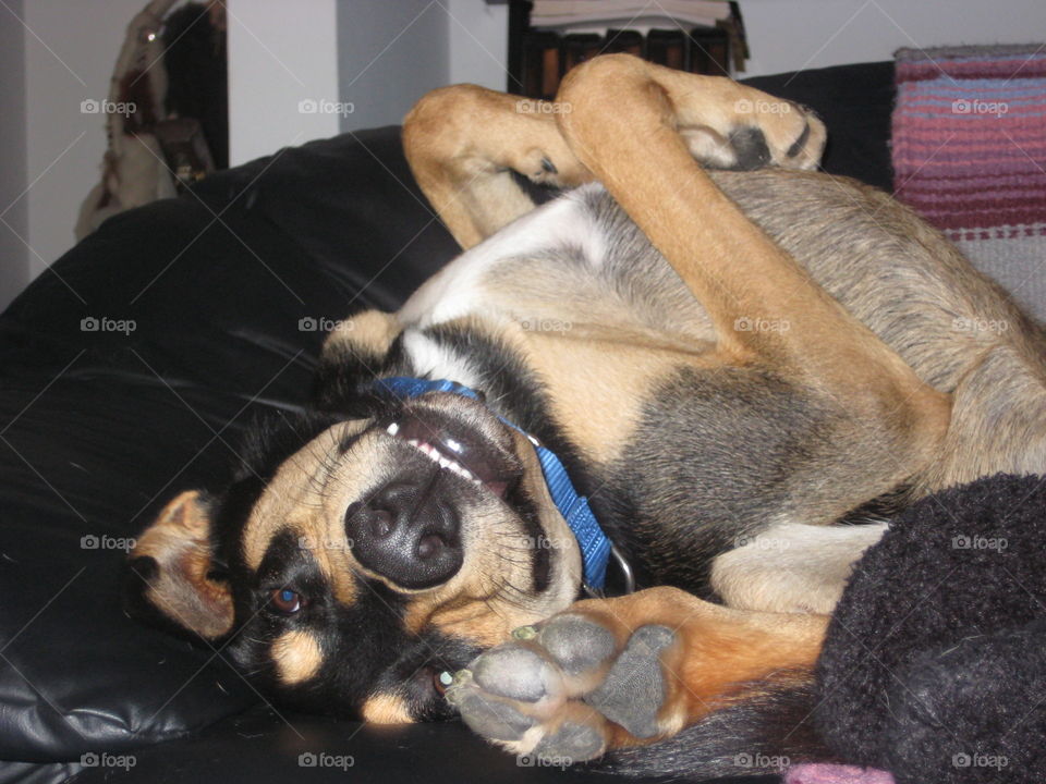 A smiling, upside-down Arrow ❤