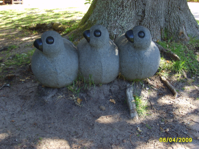 Bird, Nature, Wildlife, No Person, Outdoors