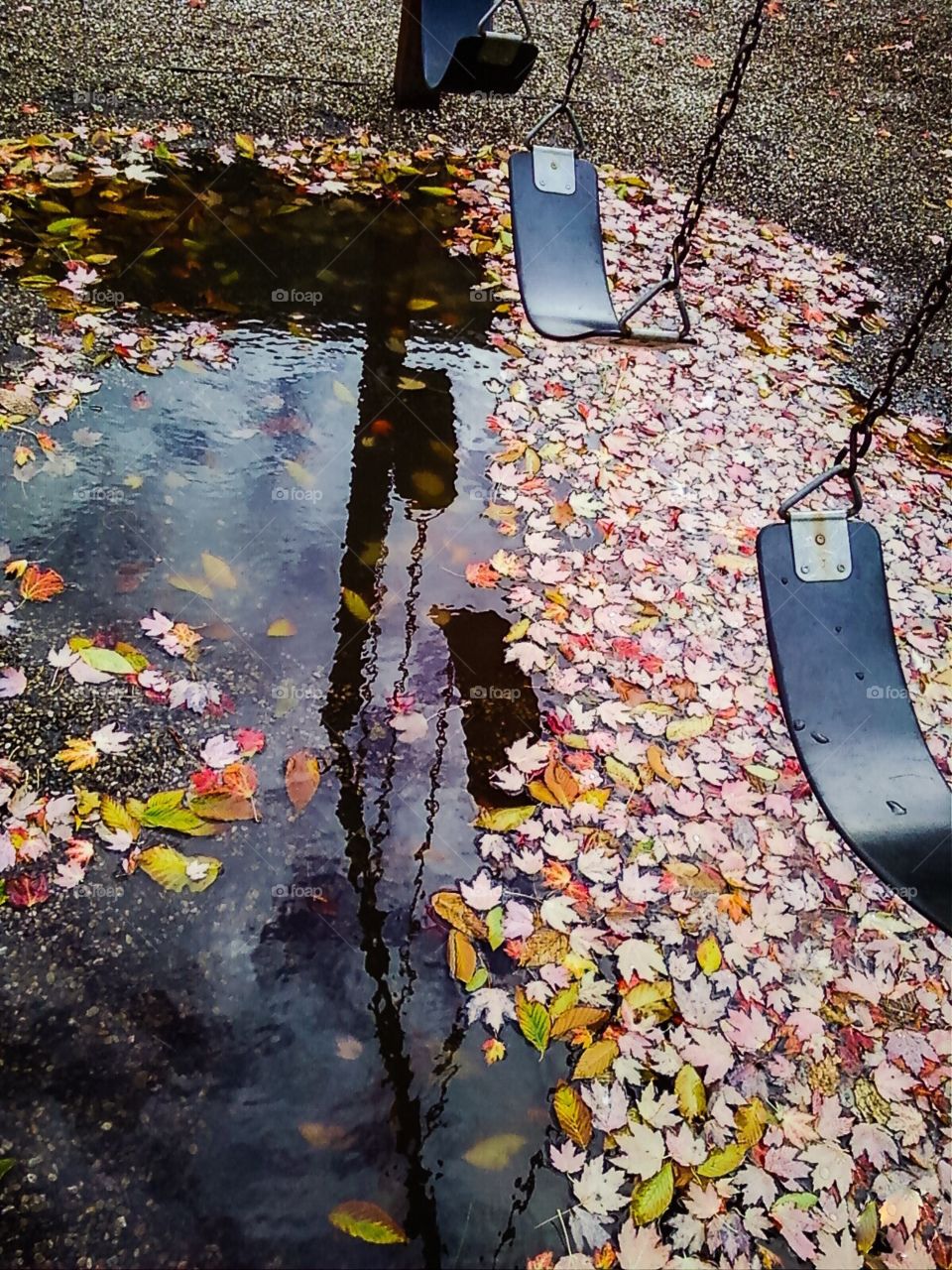 Autumn Playground Puddles