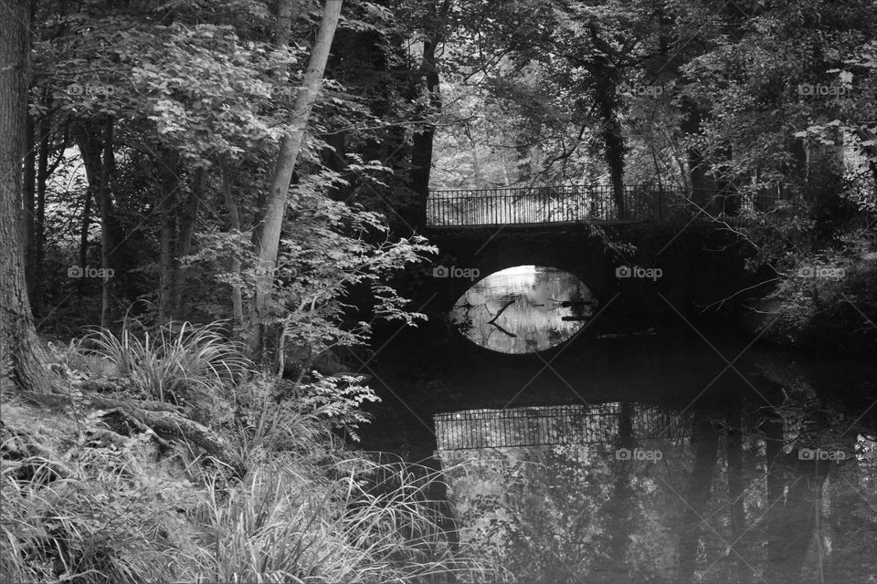 Bridge over a calm river among the trees