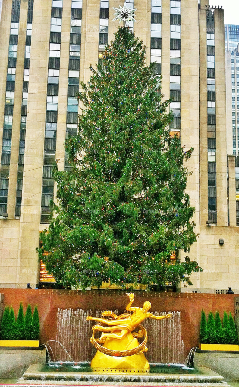 tree christmas lights ice skating by delvec