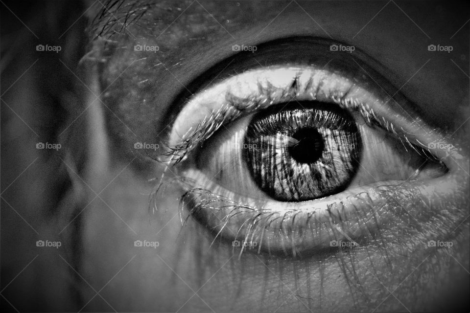 black and white close up image from a beautiful bright open eye with eyelashes