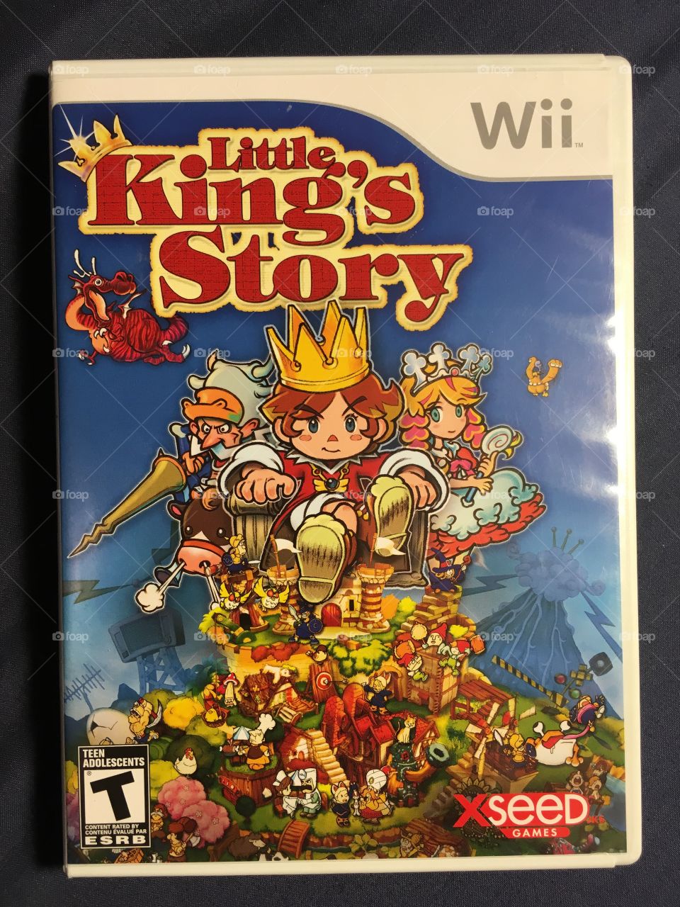 Little Kings Story video game for the Nintendo wii - released 2009