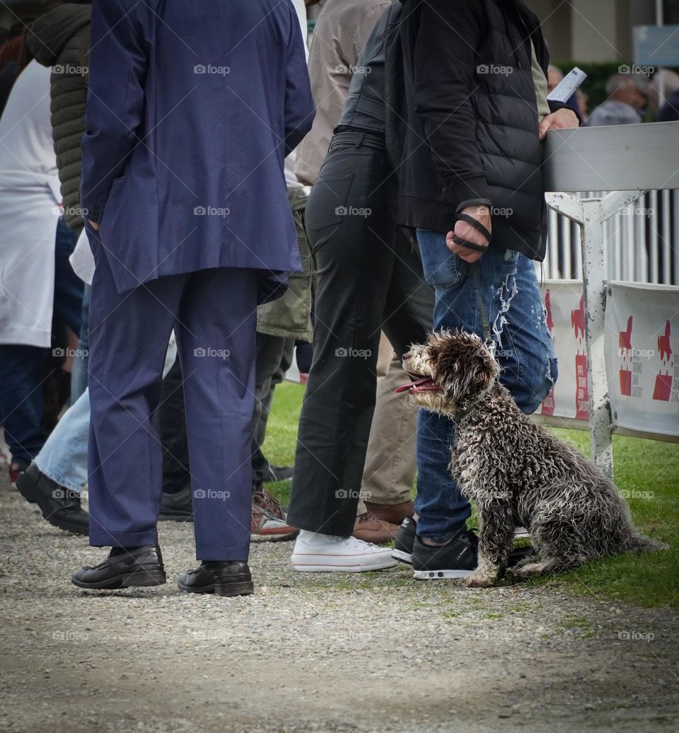 Walking in a crowd 