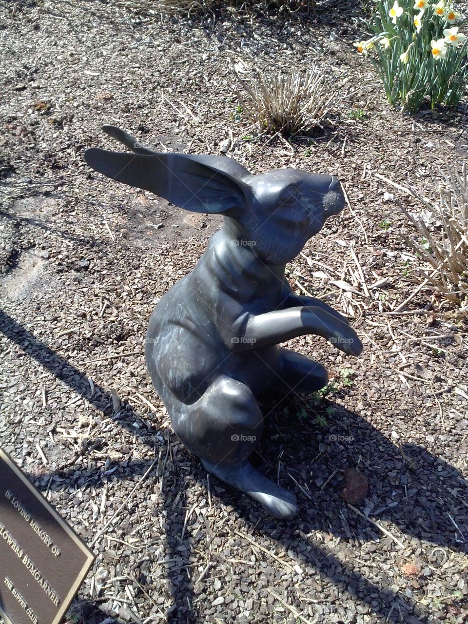 No Person, Outdoors, Nature, Travel, Ground