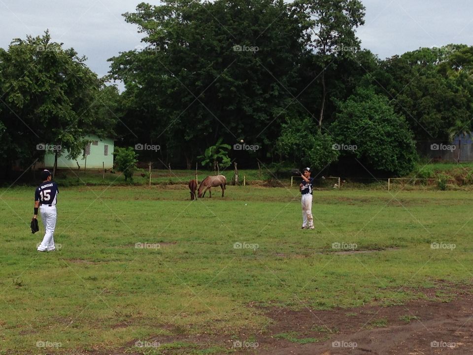 Baseball game in Masaya, Nicaragua, with horses grazing in center field 