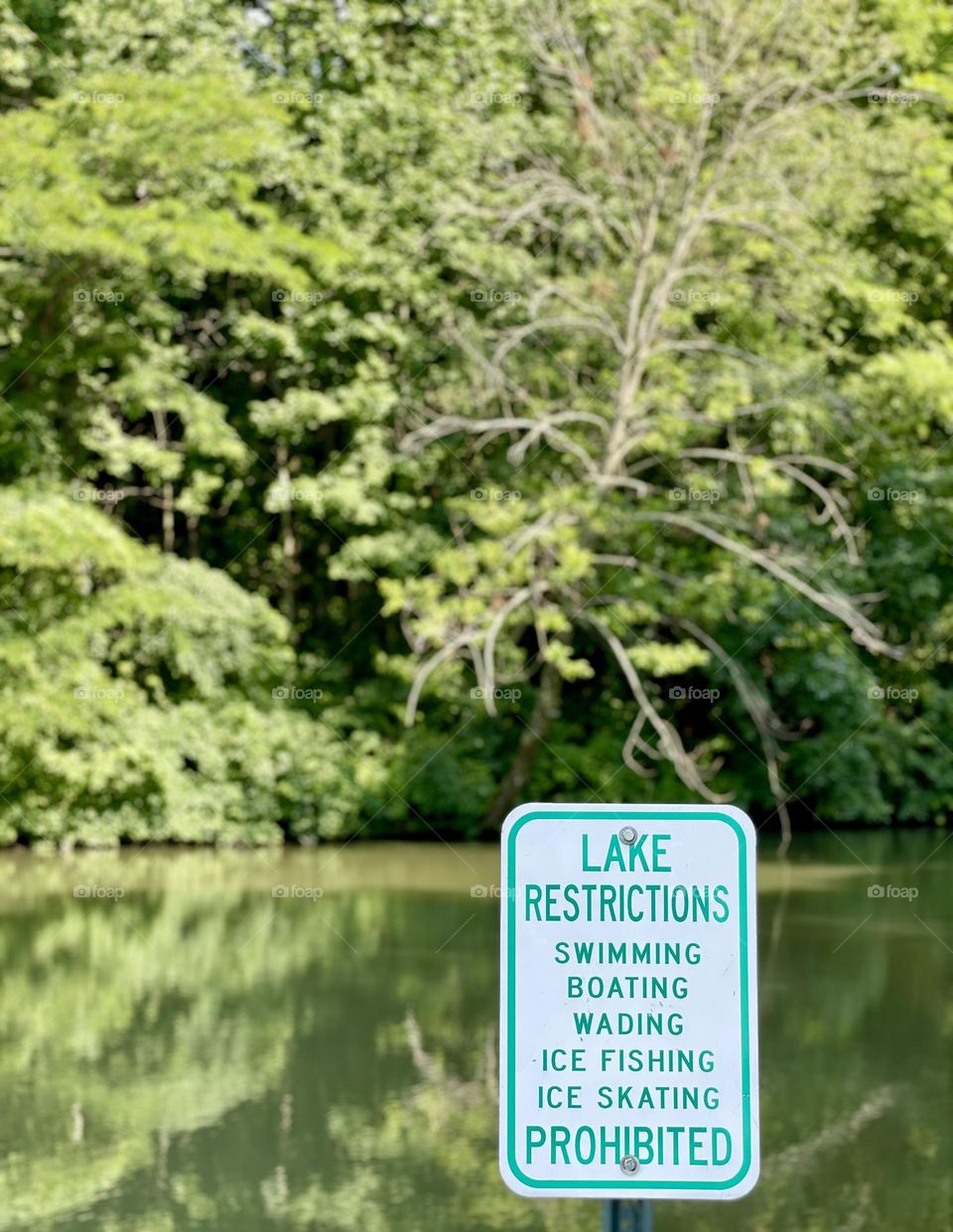 Lake restrictions, at the lake in the summer, summertime lake fun