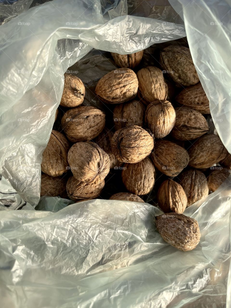 Walnuts in the plastic bag