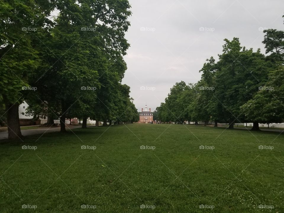 Tree, Landscape, Grass, No Person, Park