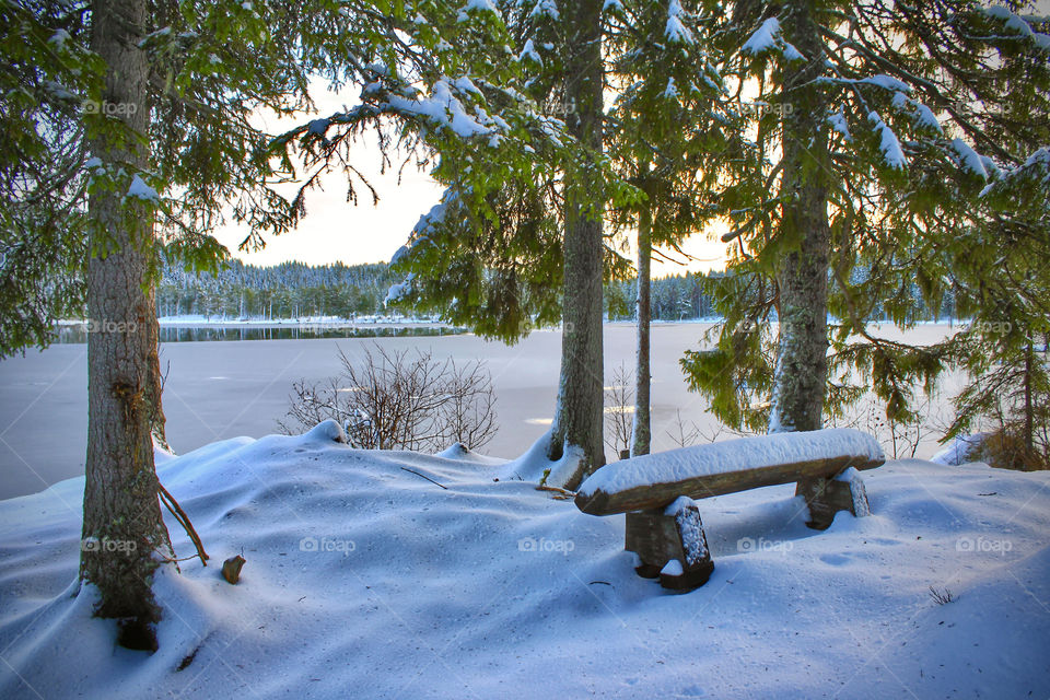 Bench In The Snow Stock Photo And Images