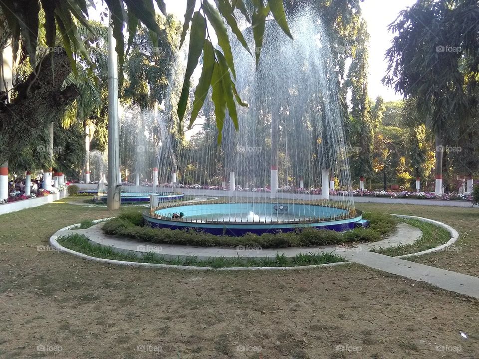 fountain